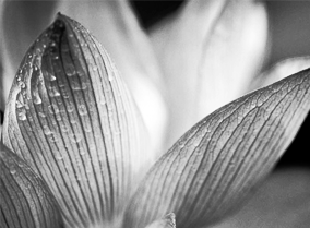 骚扰手机号呼叫软件